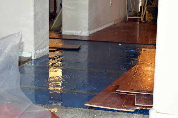 Professional Burst Pipe Cleanup technician working in Payson, IL